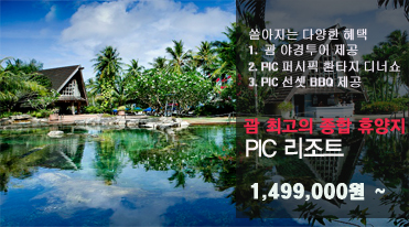 PIC Ʈ